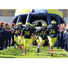 Madison Heights Wolverines